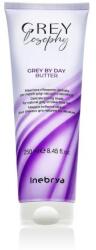 Inebrya GREYlosophy Grey By Day Butter hajpakolás őszülő haj szőkített haj 250 ml uniszex