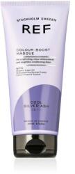 REF Colour Boost Masque hajfesték festett haj 200 ml árnyék 10.11 Cool Silver Ash uniszex