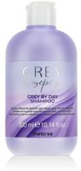 Inebrya GREYlosophy Grey By Day Shampoo 300 ml sampon őszülő haj szőkített haj uniszex