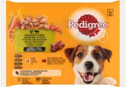 PEDIGREE Vegyes Válogatás teljes értékű nedves eledel felnőtt kutyák részére 4 x 100 g (400 g) - ecofamily