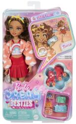 Barbie Papusa Barbie Dream Besties - Teresa cu role Papusa