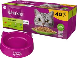 Whiskas WHISKAS Adult tasak 40 x 85 g Vegyes ízek - nedves eledel felnőtt macskáknak zselében (marhahús, csirke, lazac, tonhal) + MACSKA TÁL INGYENES ! ! !