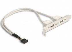 Delock 71000 PC hátlapi kivezetés 2db USB 2.0 aljzattal (Delock 71000)