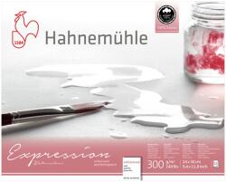 Hahnemühle Expression akvarellpapír | Various Sizes