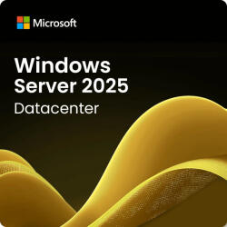 Microsoft Windows Server 2025 Datacenter (WMG919224)