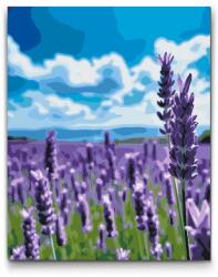 Festés számok szerint - Levendula a mezőn Méret: 30x40cm, Keretezés: Műanyagtáblával