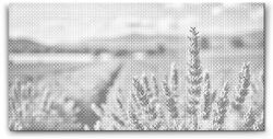  PontPöttyöző - Levendulamező Méret: 40x80cm, Keretezés: Műanyagtáblával, Szín: Fekete