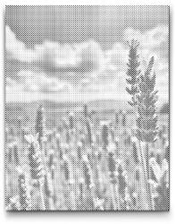  PontPöttyöző - Levendula a mezőn Méret: 30x40cm, Keretezés: Műanyagtáblával, Szín: Fekete