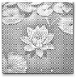  PontPöttyöző - Rózsaszín lótuszvirág Méret: 50x50cm, Keretezés: Kerek keret, Szín: Zöld