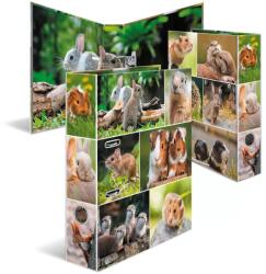 HERMA Ordner A4 Nagetier (19252) (19252) (19252)