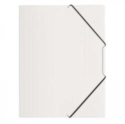 PAGNA PP A4 gumis mappa - Átlátszó (21613-19) (21613-19)