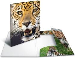 HERMA Leopard A4 Rugalmas PP Gumis mappa - Leopárd mintás (7137) (7137)