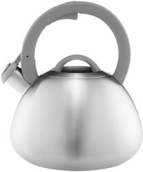 Ambition Foster vízforraló 2.5 l szürke