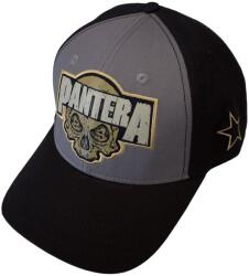 Pantera Skull Шапка с козирка Charcoal Grey & Black UNI (<![CDATA[PANTMBCAP04BC]]>)