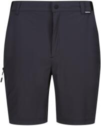 REGATTA Férfi Travel Light Packaway rövidnadrág mályva|szürke