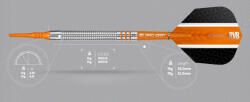 Target Darts szett Target, soft 16g Raymond van Barneveld, 80%, RVB gravírozással