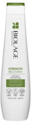 Matrix Strength Recovery Sampon Sérült Hajra 250ml (MAE3863800)