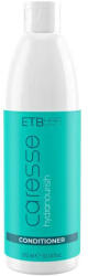 ETB Hair Caresse Hydranourish Hidratáló És Regeneráló Hajbalzsam (EH05042)