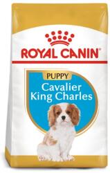 Royal Canin Cavalier King Charles Puppy 1, 5 kg Eredeti