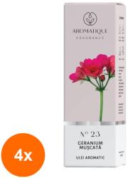 LCAA Set 4 x Ulei Aromat, Aromatique Muscata, 10 ml, Ambalat la Cutie (GIL-4xLCA-ULC-AR-23-MSC)