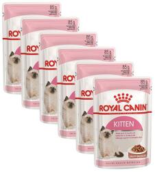 Royal Canin Kitten Instinctive Gravy tasak kiscicáknak lében 36 x 85 g