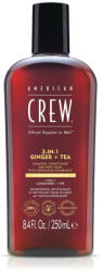 American Crew 3 IN 1 ENERGIZING 250ml - fodrasznagyker