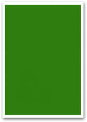 BLUERING Etikett címke, 210x297mm, 1 címke/lap zöld Bluering® (BRET111Z) - officefirst