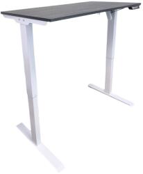 Terra Mob Prod Birou reglabil electric-TerrA2DS WHITE-profil dreptunghiular, profil cadru ALB (Dimensiune blat: 120x60 cm, Culoare blat: Negru 25mm) (A2DSWH120bk)