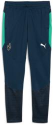 PUMA Спортно долнище Neymar JR BNA Training Pants jr