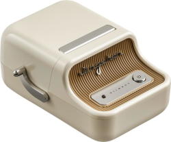 Niimbot B21 Pro