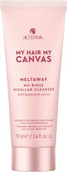 Alterna Haircare Haircare My Hair. My Canvas. Meltway No-Rinse Micellar Cleanser 101 ml