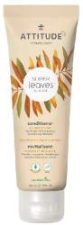 Attitude Super Leaves Volume & Shine balsam natural cu efect detoxifiant 240 ml
