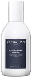 Sachajuan Intensive Repair Shampoo 250 ml - vivantis
