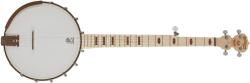 Deering Goodtime 5-String Openback