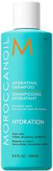 Moroccanoil Hydration Șampon hidratant, 250 ml