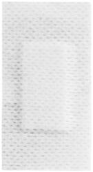 Prima Plasturi Sterili PPSB, 6 cm x 3 cm, Ambalati Individual, Prima, 100 Bucati (VTR-0938-06X03)