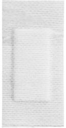 Prima Plasturi Sterili PPSB, 7 cm x 3.5 cm, Ambalati Individual, Prima, 100 Bucati (VTR-0938-07X035)