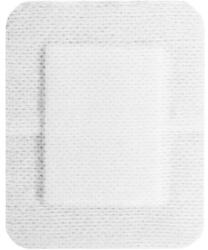 Prima Plasturi Sterili PPSB, 6 cm x 8 cm, Ambalati Individual, Prima, 50 Bucati (VTR-0938-06X08)