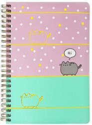Undercover Pusheen, carnetel A5, dictando