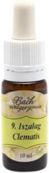 BachVirágeszencia Bach virágterápia, 10 ml - Iszalag, a realitás virága - 9-es