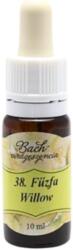 Bach Bach virágterápia, 10 ml - Fűzfa, a sors virága - 38-as