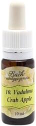 Bach Bach virágterápia, 10 ml - Vadalma, a megtisztulás virága - 10-es