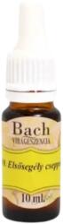 Bach Bach Elsősegély csepp, 10 ml - 39-es