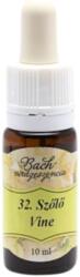 BachVirágeszencia Bach virágterápia, 10 ml - Szőlő, a tekintély virága - 32-es