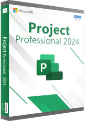 Microsoft Project Professional 2024 (WMG205180)