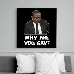 printfashion Why are you g*y? - Vászonkép - Fekete (17502103)