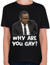 printfashion Why are you g*y? - Gyerek póló - Fekete (17501761)