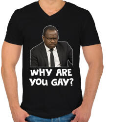 printfashion Why are you g*y? - Férfi V-nyakú póló - Fekete (17501680)