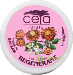 CETA Sibiu Unguent regenerant 40 g