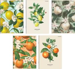 2000 TOP 2000 Summer Harvest Club A5 564 füzet, vonalas, 60 lap - vegyes minták (1 db) (60079683)